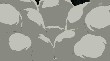 ns2420699.jpg